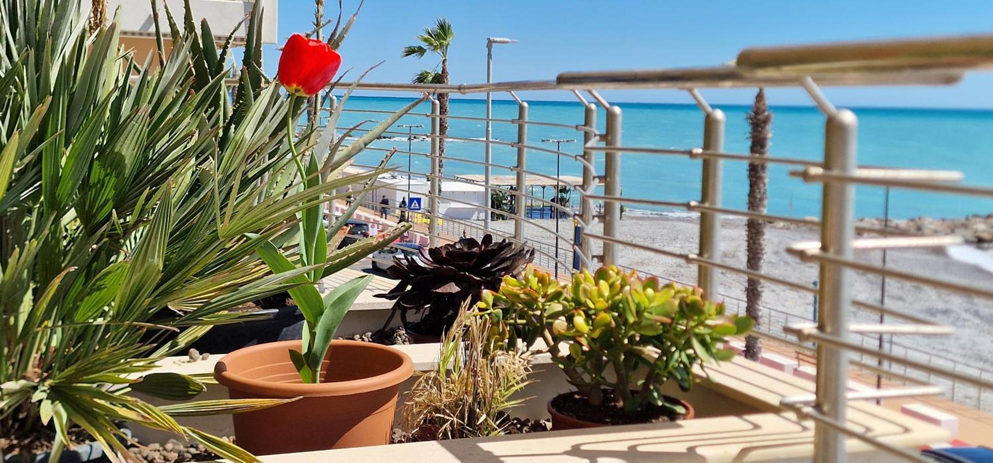 Mare Blu Apartment Вентимиля Екстериор снимка